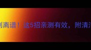 4个月大金毛嘴巴臭到离谱这5招亲测有效附清洁教程附医生建议