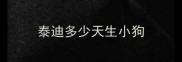 泰迪多少天生小狗