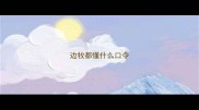 边牧都懂什么口令