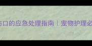 狗狗舔伤口的应急处理指南宠物护理必看干货