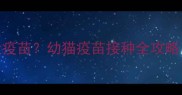 猫咪多大能打狂犬疫苗幼猫疫苗接种全攻略附最佳时间表