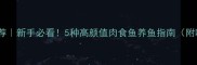 淡水食肉鱼推荐新手必看5种高颜值肉食鱼养鱼指南附喂食禁忌