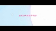 金毛幼犬拉肚子有血