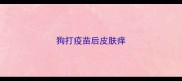 狗打疫苗后皮肤痒