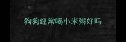狗狗经常喝小米粥好吗