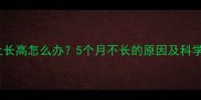 萨摩耶停止长高怎么办5个月不长的原因及科学干预指南