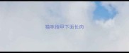 猫咪指甲下面长肉