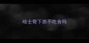哈士奇下崽不吃食吗