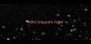 狗狗打完疫苗能吃鸡蛋吗