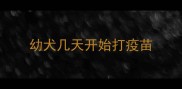 幼犬几天开始打疫苗