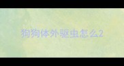 狗狗体外驱虫怎么