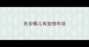 西安哪儿有宠物市场