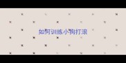 如何训练小狗打滚