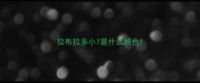 拉布拉多小7是什么颜色