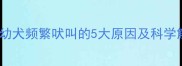 两个月大幼犬频繁吠叫的5大原因及科学解决指南
