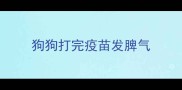 狗狗打完疫苗发脾气