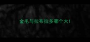 金毛与拉布拉多哪个大