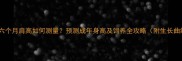 卡斯罗六个月肩高如何测量预测成年身高及饲养全攻略附生长曲线图