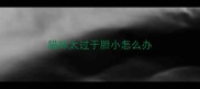 猫咪太过于胆小怎么办
