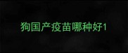狗国产疫苗哪种好