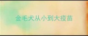 金毛犬从小到大疫苗