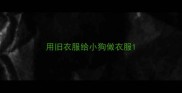 用旧衣服给小狗做衣服