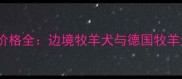 德牧VS边牧价格全边境牧羊犬与德国牧羊犬选购指南