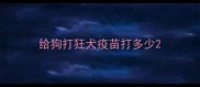 给狗打狂犬疫苗打多少