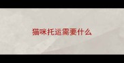 猫咪托运需要什么