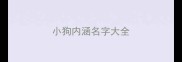 小狗内涵名字大全
