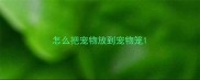 怎么把宠物放到宠物笼