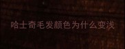 哈士奇毛发颜色为什么变浅