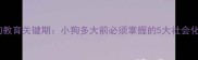 主母狗教育关键期小狗多大前必须掌握的5大社会化技能