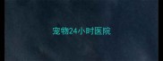 宠物24小时医院