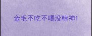 金毛不吃不喝没精神