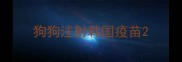 狗狗注射韩国疫苗