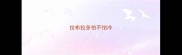 拉布拉多怕不怕冷