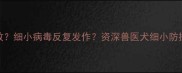 疫苗失效细小病毒反复发作资深兽医犬细小防控全攻略