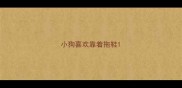 小狗喜欢靠着拖鞋