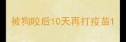 被狗咬后10天再打疫苗