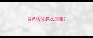 白色边牧怎么回事