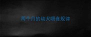 两个月的幼犬喂食规律