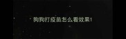 狗狗打疫苗怎么看效果