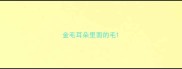 金毛耳朵里面的毛