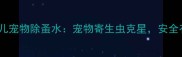 专业除蚤湃特安琪儿宠物除蚤水宠物寄生虫克星安全有效的家庭必备