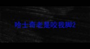 哈士奇老是咬我脚