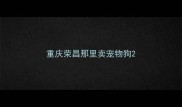 重庆荣昌那里卖宠物狗