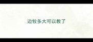 边牧多大可以教了