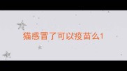 猫感冒了可以疫苗么