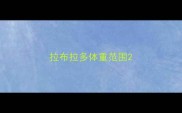 拉布拉多体重范围